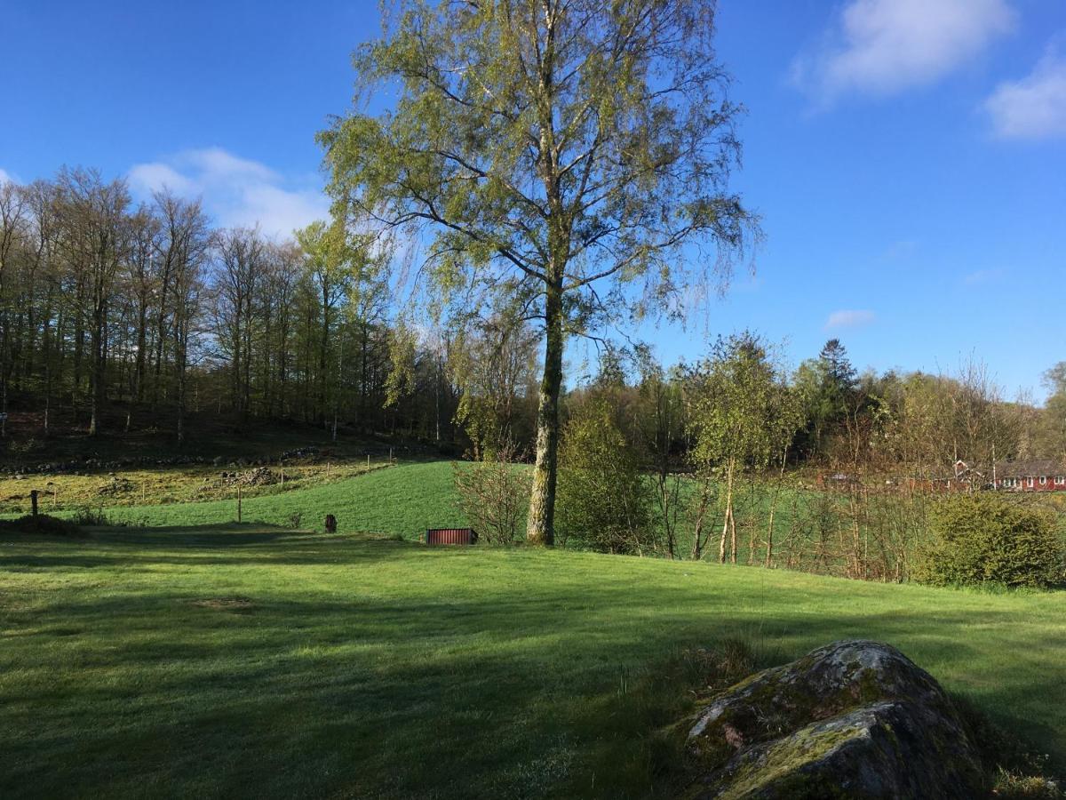 Inga-Majs Stuga Tvååker Extérieur photo